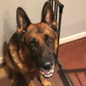 Meet your Posher, Blair